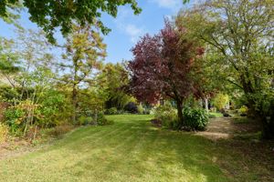 Garden- click for photo gallery